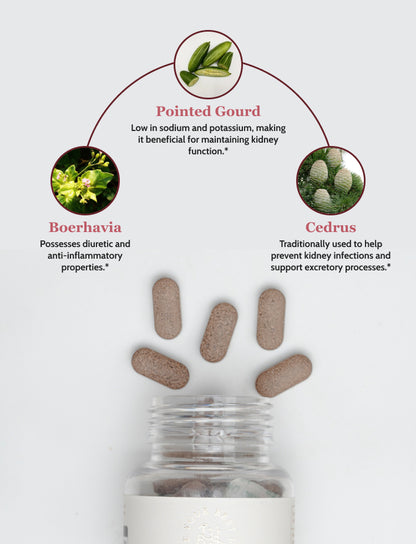 Herbal Hydro Flush