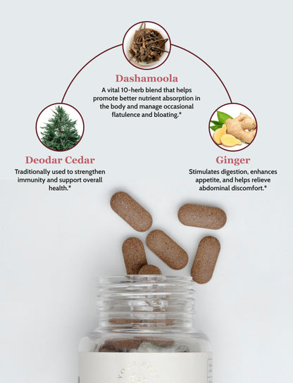 Digestive & Immunity Support