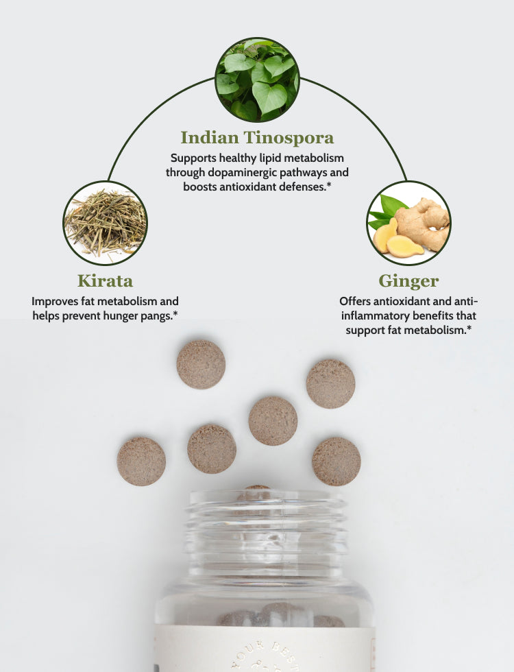 Herbal Fat Digest