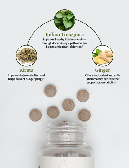 Herbal Fat Digest