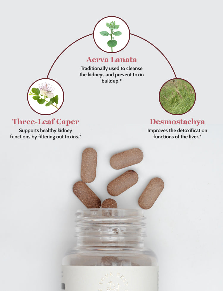 Herbal Broadspectrum Detox