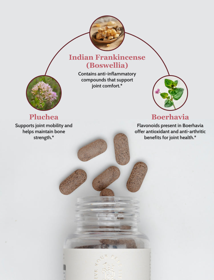 Healthy Joint Mobility