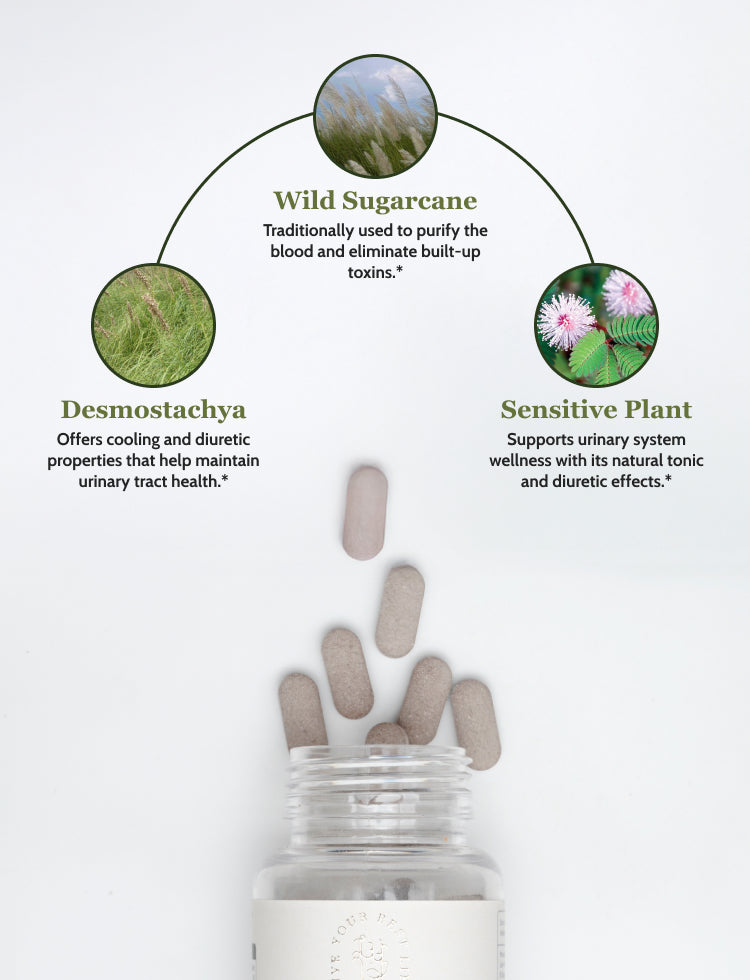 Cooling & Blood Support