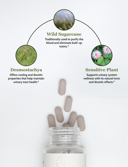 Cooling & Blood Support