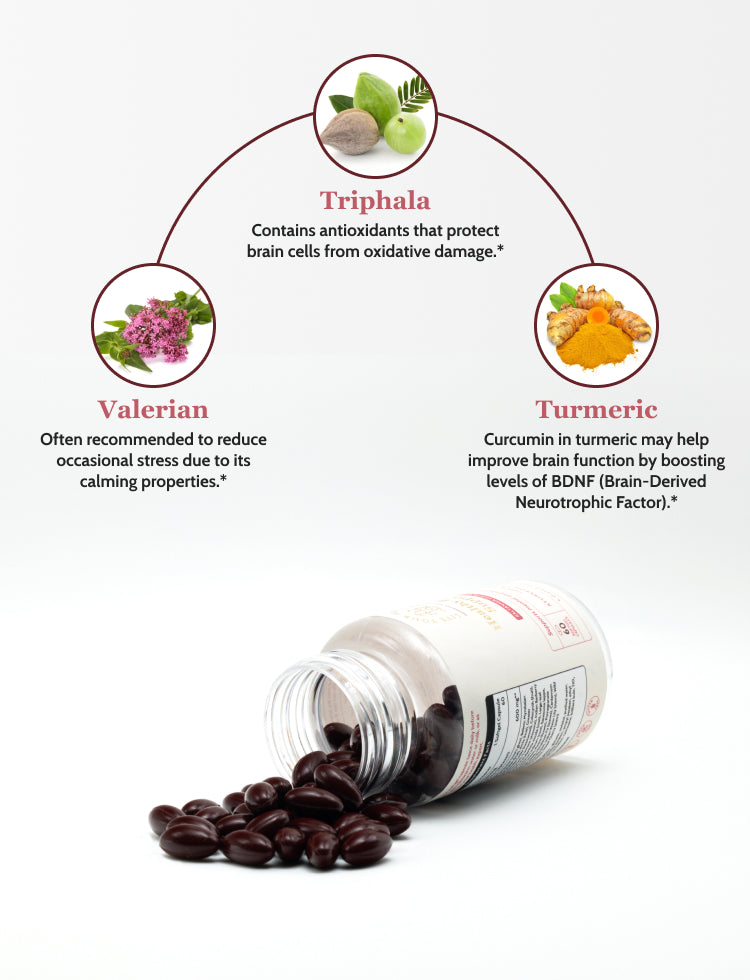 Healthy Brain Support