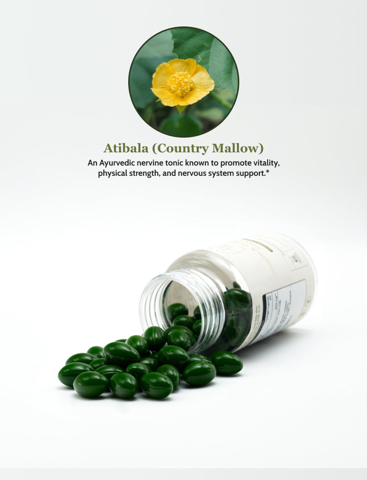 Neuro & Degenerative Support