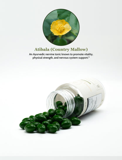 Neuro & Degenerative Support